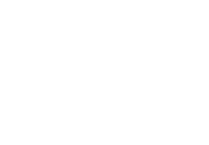 Novabee